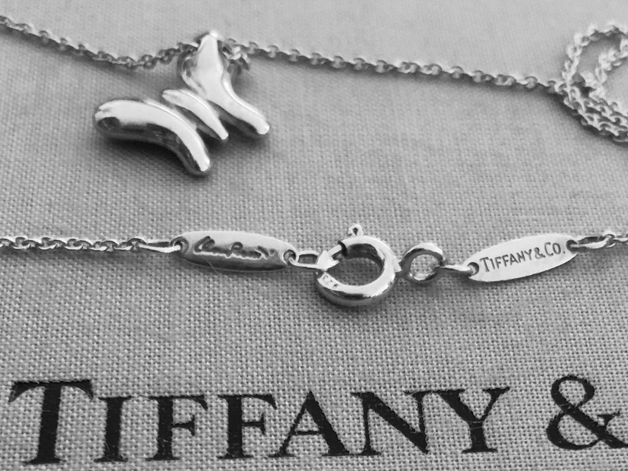 Tiffany & Co. Butterfly Pendant and Chain in Sterling Silver