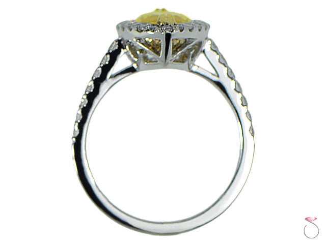 White Gold Ring Hawaii online sale